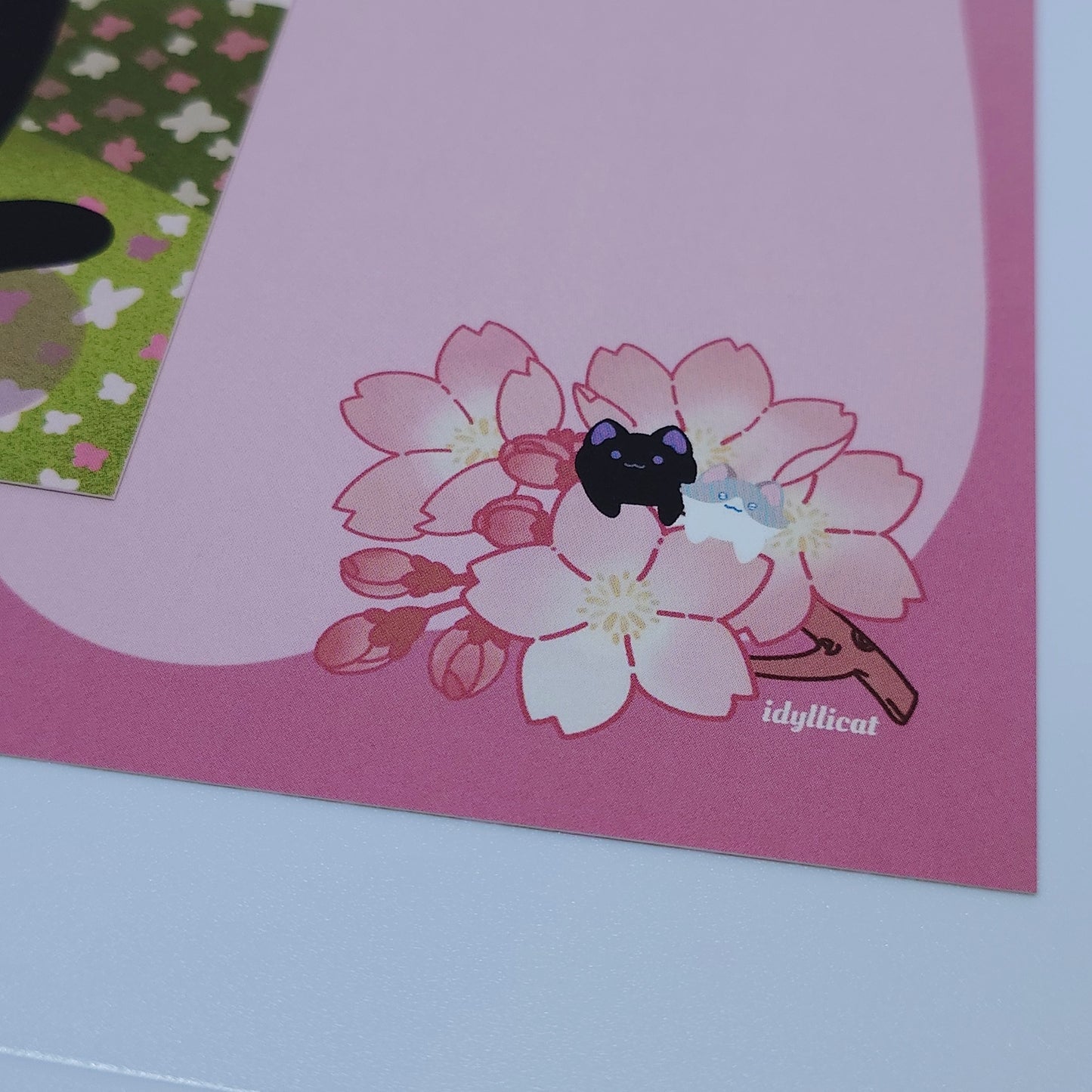 Cherry Blossom 4x6 Postcard