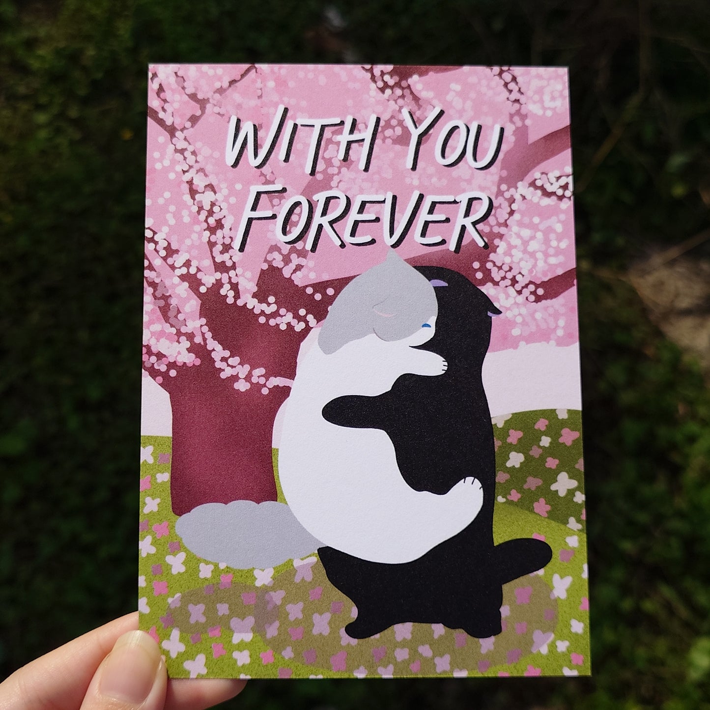 Cherry Blossom 4x6 Postcard