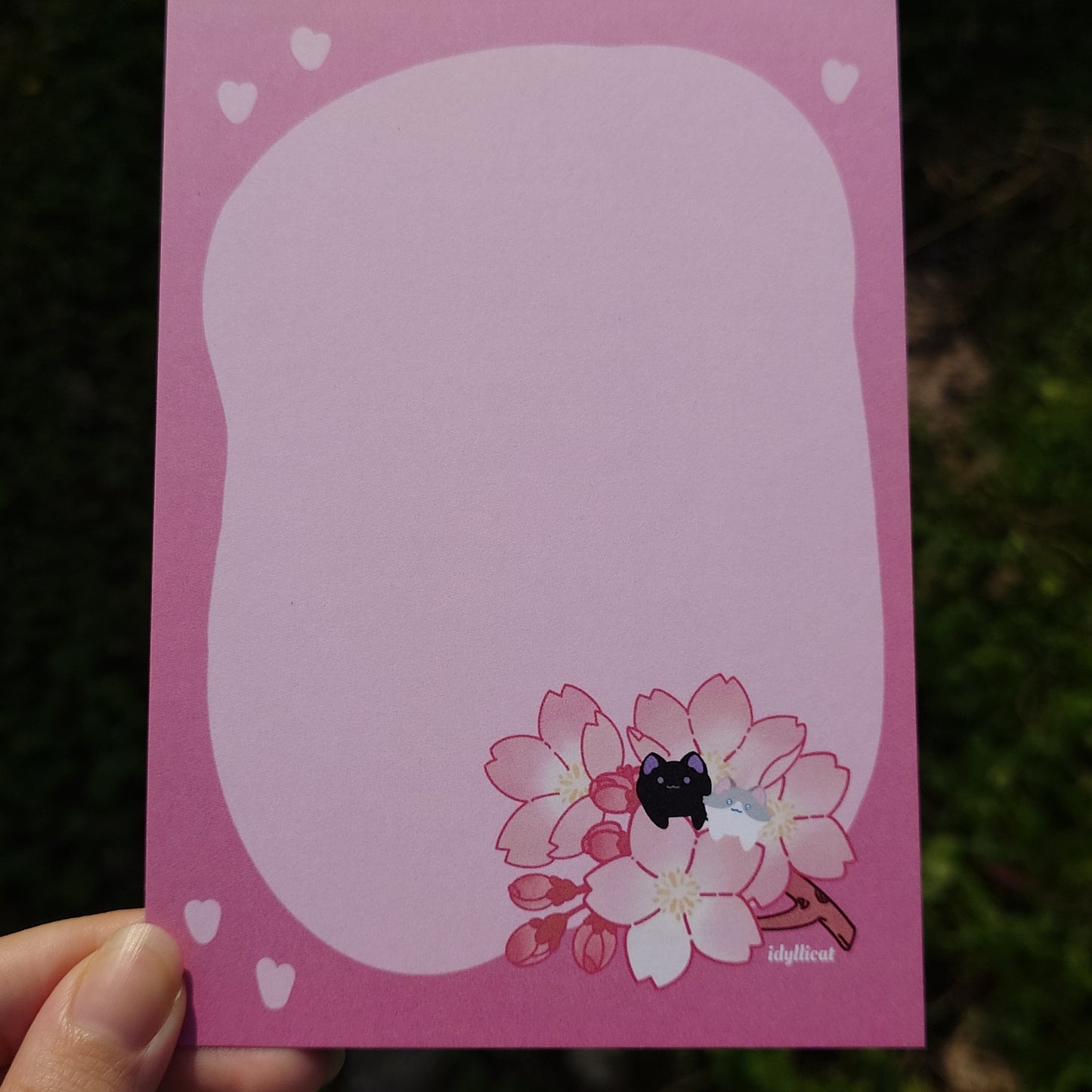 Cherry Blossom 4x6 Postcard